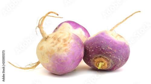 fresh turnips on a white background