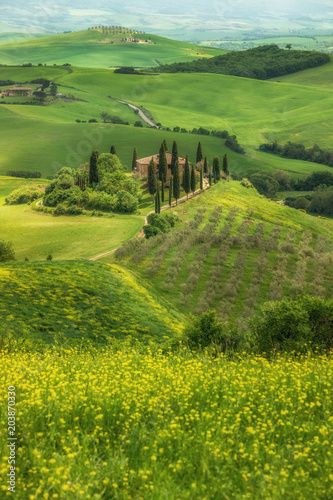 Tuscany spring landscape, Val d'Orcia, Italy