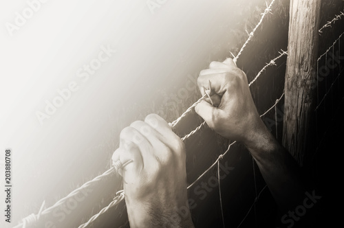 Hands grasping desperately barbed wire to get to the light