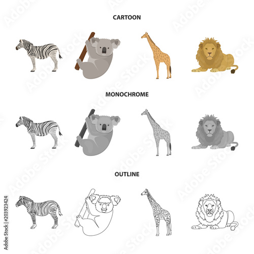 African zebra, animal koala, giraffe, wild predator, lion. Wild animals set collection icons in cartoon,outline,monochrome style vector symbol stock illustration web.