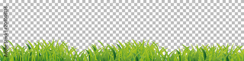 Green Grass border frame on checkered background