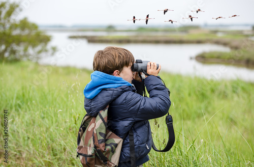 Young kid bird watching