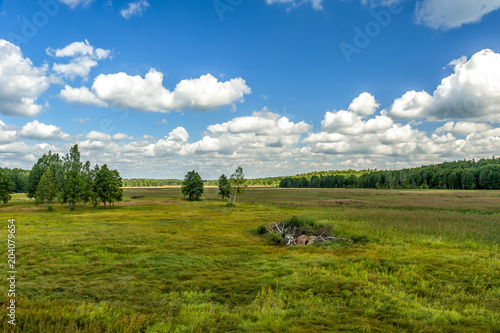 łąka w Białowieskim Parku Narodowym