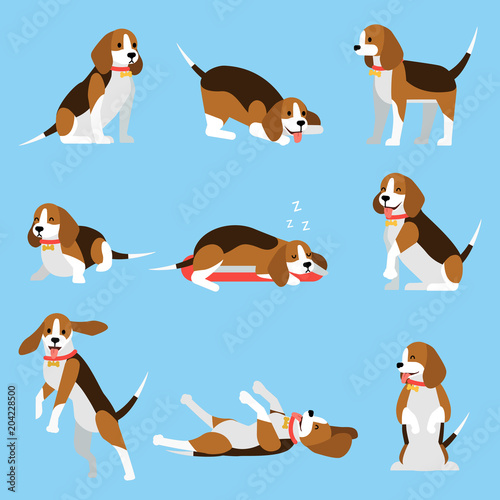 Cool illustration with friendly funny beagle puppy in various poses. My lovely pet concept. Vector set in flat style