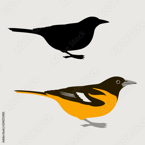 bird oriole vector illustration flat style black