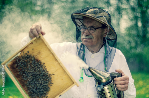 Pszczelarz podczas wiosennej inspekcji w pasiece 