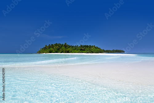 Wild Maldives island with sandy beach