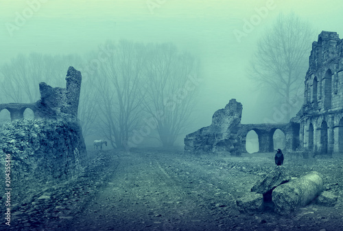 Ruiny starego pałacu w tajemniczym i mglistym nastroju