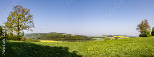 Panoramic view of spring countryside with green meadow and forests