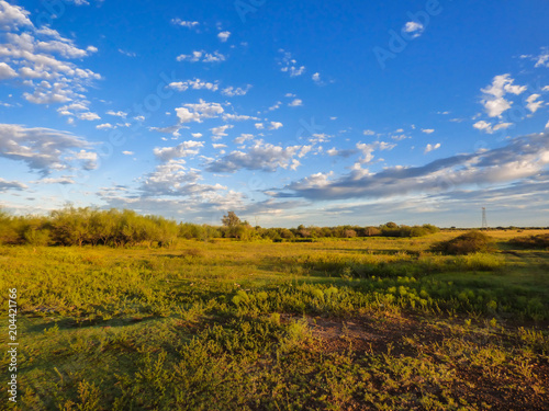 A view of the pampa biome with sunrise colors - Uruguaiana, Brazil