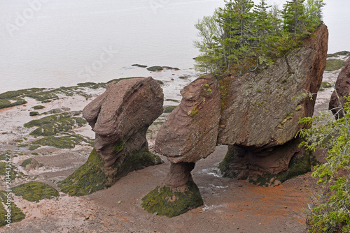 Hopewell Rocks in low tide in Hopewell Rocks Ocean Tidal Exploration Site, New Brunswick, Canada.