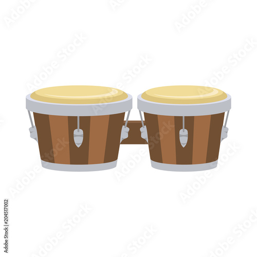 Vector illustration of a bongo in cartoon style isolated on white background