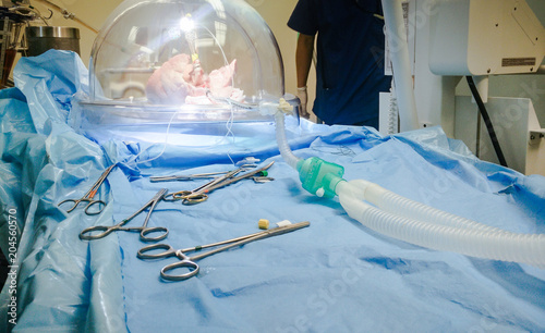 human lung in plastic dome during organ transplant