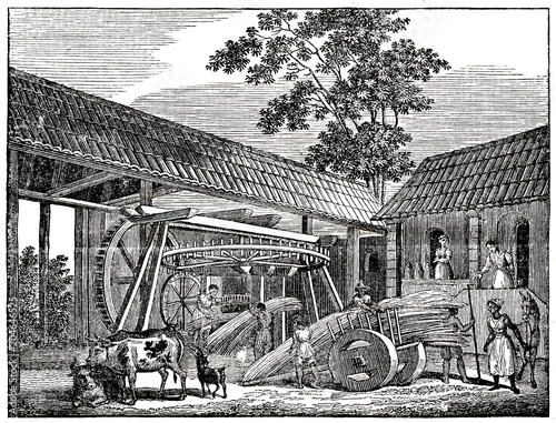 Sugar cane processing at french island Fleche (from Das Heller-Magazin, August 30, 1834)