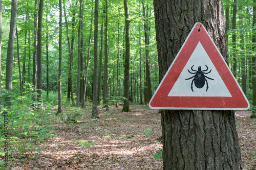 tick insect warning sign in forest