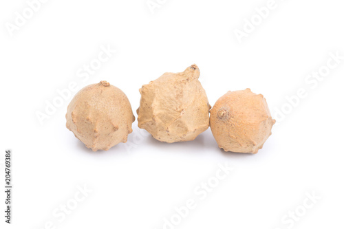 .Thai herb name Quercus infectoria G.olivier or Aleppo oak isolated on white background. Thai herb medicine concept.