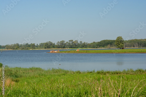 Mellnitz-Üselitzer Wiek auf Rügen