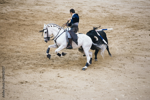 Corrida. Matador i koń walczą w typowej hiszpańskiej walce byków