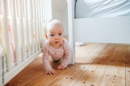 A toddler child crawling on the floor at home.