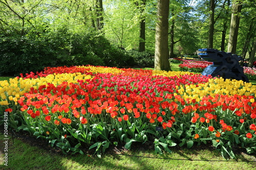Yellow and red tulips in Keukenhof park, Netherlands