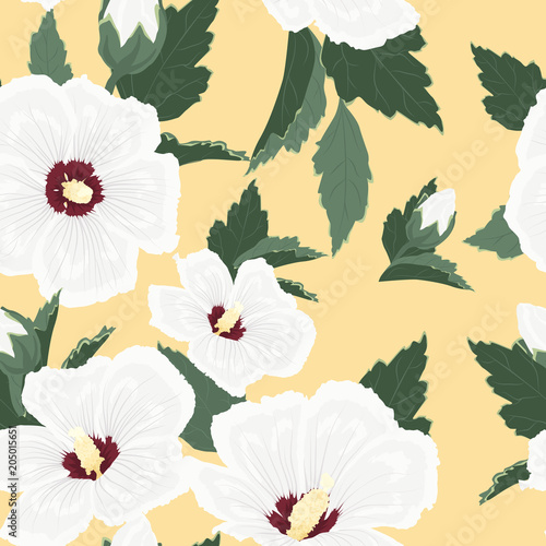 Hibiscus beautiful blooming white flowers buds green leaves. Seampless pattern texture on yellow beige background. Exotic tropical spring summer botanical vector design illustration.