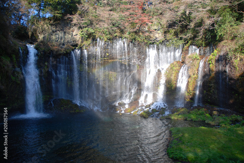 Shiraito-no-taki waterfall with the rainbow in autumn / 秋の白糸の滝(全景) - 虹付き