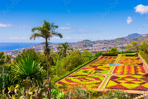 Botanical garden in Funchal, Madeira island, Portugal