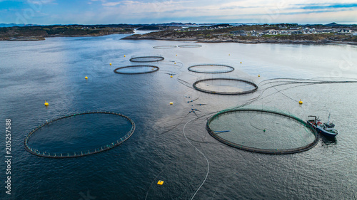 Salmon fish farm in fjord. Norway, Bergen.