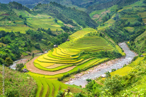 Beautiful rice field terraced at Mu Cang Chai, Yen Bai, during trip HANOI to SAPA Northwest Vietnam