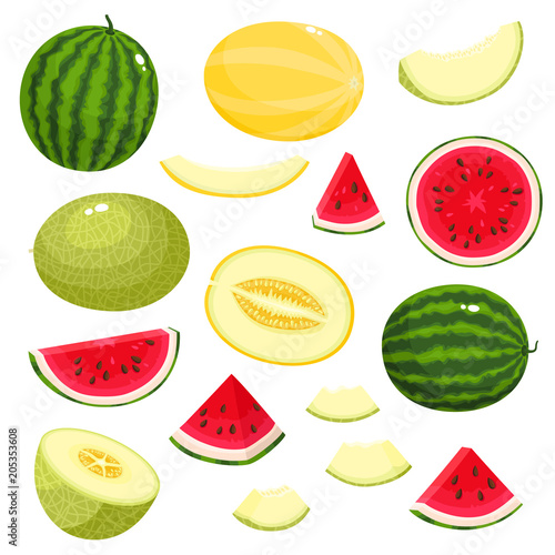 Bright vector set of fresh melon, watermelon isolated on white