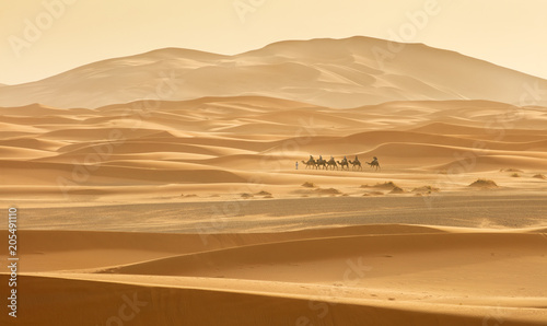 caravan go by sand dunes in Sahara desert in Morocco