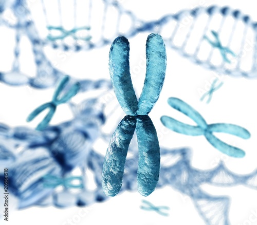 X chromosome and DNA, 3D rendering 