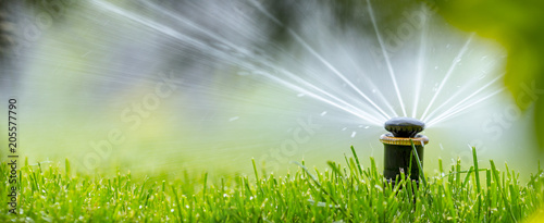 automatic sprinkler system watering the lawn on a background of green grass