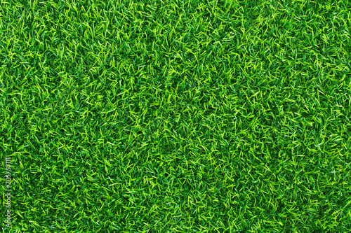 Green lawn for background. Green grass texture background. top view.