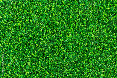 grass , lawn