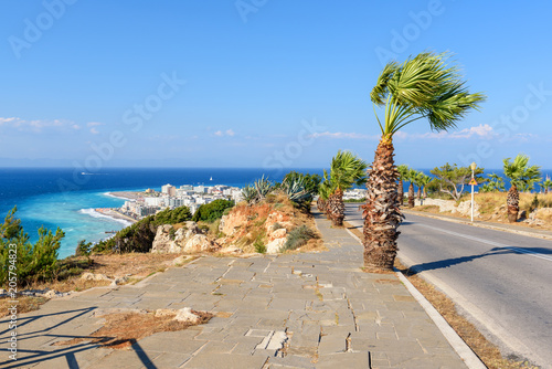 Tropical palm trees on beautiful Rhodes island. Greece
