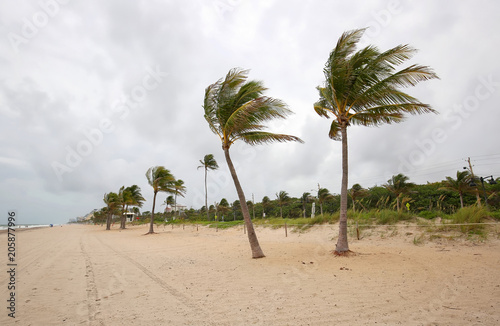Storm clouds, rain and wind bring dangerous weather conditions to Fort Lauderdale Beach in Florida, USA.