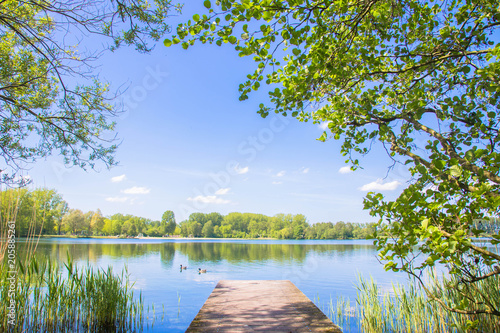 lake in forest, water, fishing bridge, trees, sedge and ducks