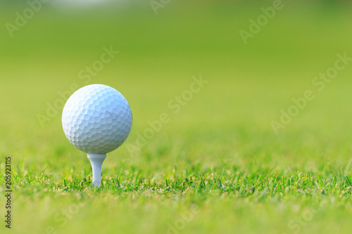 Golf ball on tee on green grass, golf court
