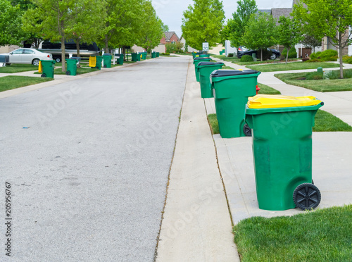 Row of garbage bins lined up along the roadside