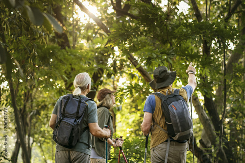 Seniors trekking in a forest