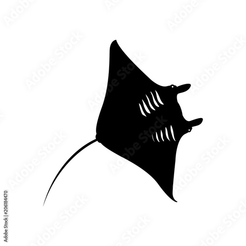 Icono plano silueta manta raya en color negro
