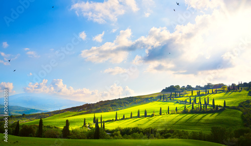 italy; tuscany landscape; hillside road, cypresses and fields