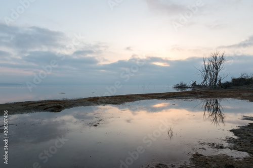 A lake shore at dawn, with beautiful tree and sky reflections on