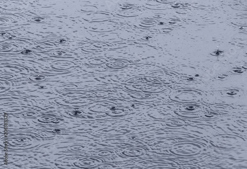 circles on water made by rain drops
