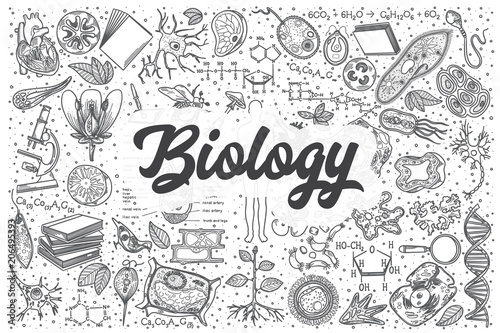 Hand drawn biology vector doodle set.