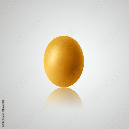 chicken egg and shadow on white background