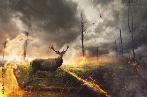 Hirsch steht in brennendem Wald