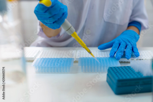 Close-up for hands of a researcher pipetting samples in micro plate; woman scientist in lab holding a 96 well plate with samples for analysis.