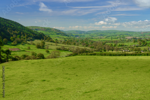 Panorama over typical english or welsh farming country